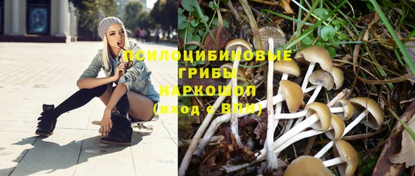 Альфа ПВП Алексеевка